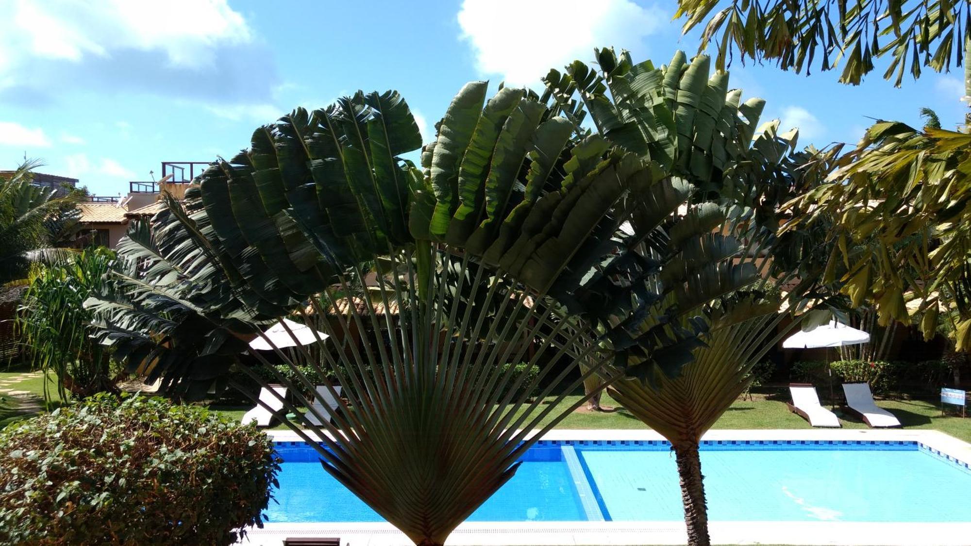 Unidades Vilas Triplex no Pipa Beleza Praia de Pipa Exterior foto